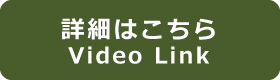 button-videolink